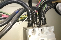 IMG_20180904_1356082-1